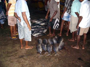 Villa in Moragalla (Kalutara) or holiday homes and vacation rentals