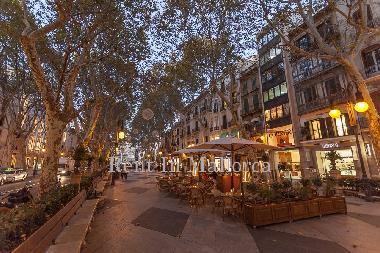 Holiday Apartment in Palma de Mallorca (Mallorca) or holiday homes and vacation rentals