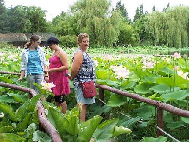 Holiday House in Chateau Guibert (Vende) or holiday homes and vacation rentals