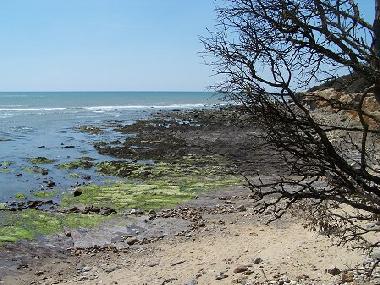 Holiday House in Chateau Guibert (Vende) or holiday homes and vacation rentals