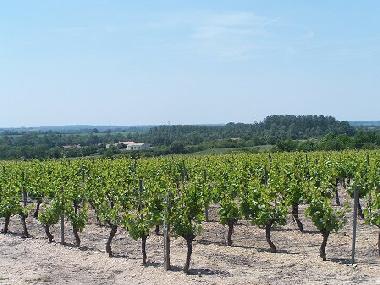 Holiday House in Chateau Guibert (Vende) or holiday homes and vacation rentals