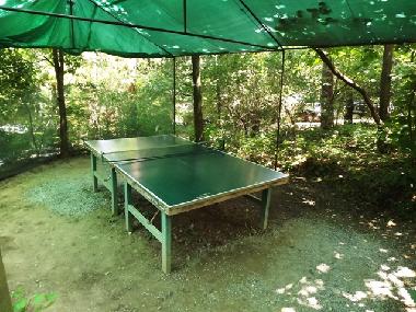 Holiday House in Oslnovice (Brnensky Kraj) or holiday homes and vacation rentals