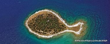 Holiday Apartment in MURTER (Sibensko-Kninska) or holiday homes and vacation rentals