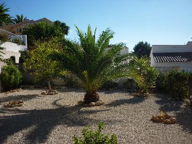 Garden at side of villa