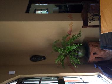The decoration