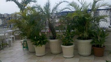 Holiday Apartment in Rio de Janeiro (Rio de Janeiro) or holiday homes and vacation rentals