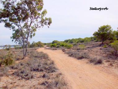 Holiday Apartment in Guardamar del Segura (Alicante / Alacant) or holiday homes and vacation rentals