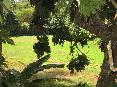 Holiday Apartment in hikkaduwa (Galle) or holiday homes and vacation rentals