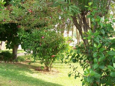 Chalet in Torreblanca del Sol (Mlaga) or holiday homes and vacation rentals