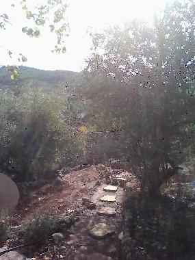 Holiday Apartment in monda (Mlaga) or holiday homes and vacation rentals