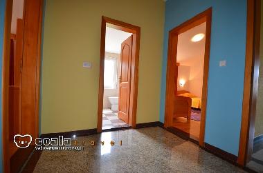 Holiday House in Okrug Gornji (Splitsko-Dalmatinska) or holiday homes and vacation rentals