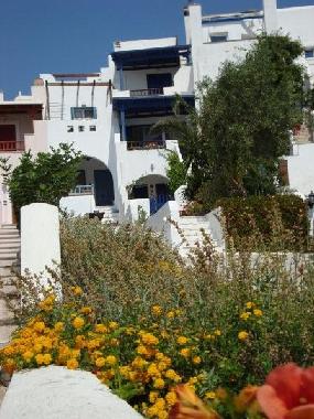 Holiday House in ANGHIDIA (Kyklades) or holiday homes and vacation rentals