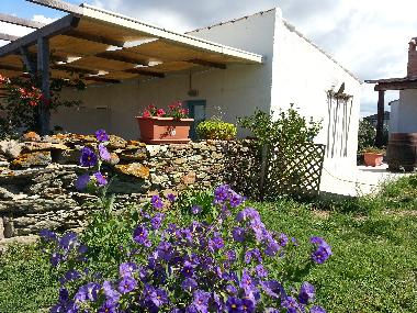 Hotel in piscinas (Carbonia-Iglesias) or holiday homes and vacation rentals