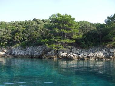 Holiday Apartment in Rab (Primorsko-Goranska) or holiday homes and vacation rentals