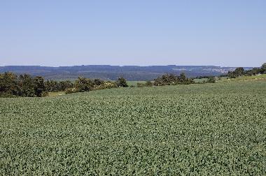 Holiday Apartment in Remda-Teichel (Th�ringer Kernland) or holiday homes and vacation rentals