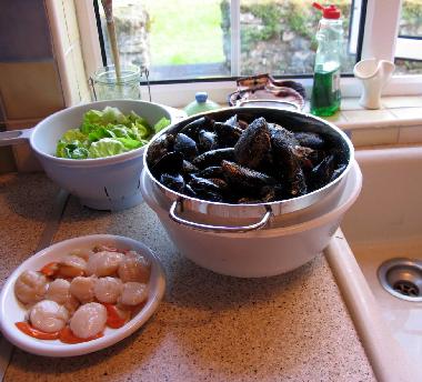 Holiday House in Tahilla (Kerry) or holiday homes and vacation rentals