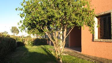 Holiday Apartment in San Teodoro (Olbia-Tempio) or holiday homes and vacation rentals