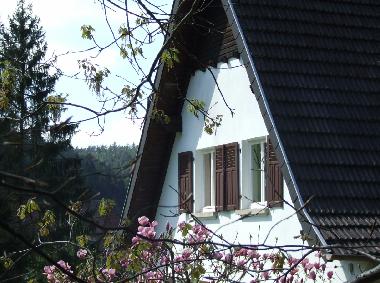 Holiday House in Sturzelbronn (Bas-Rhin) or holiday homes and vacation rentals