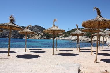 Villa in Camp de Mar (Mallorca) or holiday homes and vacation rentals