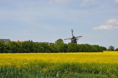 Holiday Apartment in Fehmarn (Insel Fehmarn) or holiday homes and vacation rentals