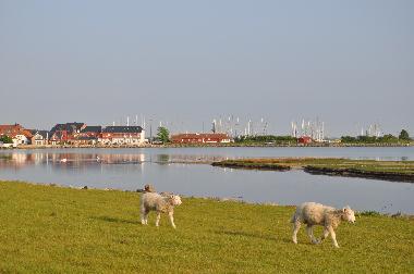 Holiday Apartment in Fehmarn (Insel Fehmarn) or holiday homes and vacation rentals