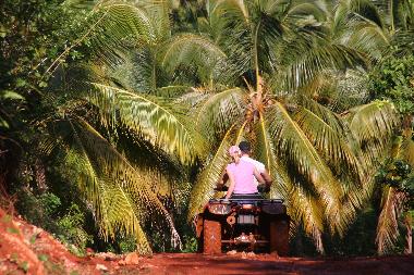 Holiday House in Punta Bonita (Samana) or holiday homes and vacation rentals