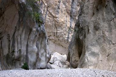 Holiday Apartment in Cala Gonone (Nuoro) or holiday homes and vacation rentals