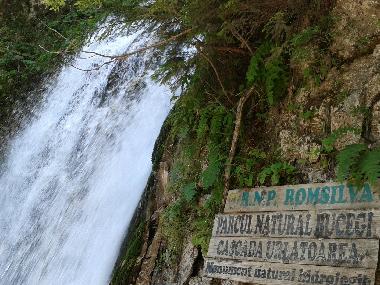 Urlatoarea Waterfall