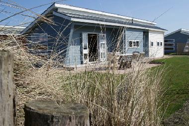 Chalet in Renesse (Zeeland) or holiday homes and vacation rentals