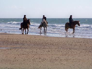 Holiday House in Lindbergh-PLage (Manche) or holiday homes and vacation rentals