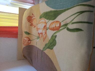 Holiday Apartment in Baska Voda (Splitsko-Dalmatinska) or holiday homes and vacation rentals