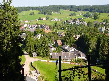 Holiday Apartment in Schnwald (Black Forest) or holiday homes and vacation rentals