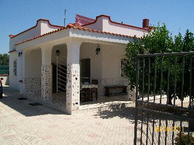 Villa in LEPORANO MARINA (Taranto) or holiday homes and vacation rentals