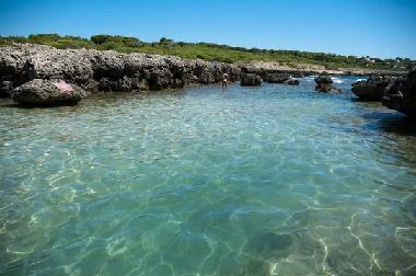 Villa in LEPORANO MARINA (Taranto) or holiday homes and vacation rentals