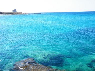 Villa in LEPORANO MARINA (Taranto) or holiday homes and vacation rentals