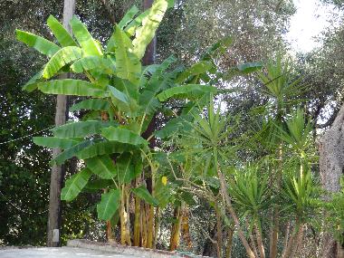 Holiday Apartment in Parga (Preveza) or holiday homes and vacation rentals