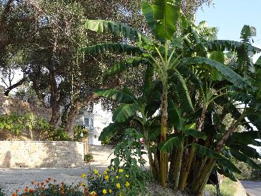 Holiday Apartment in Parga (Preveza) or holiday homes and vacation rentals