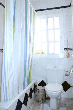 Holiday Apartment in Malaga (Mlaga) or holiday homes and vacation rentals