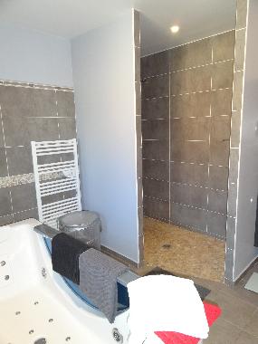 Villa in Castillon-du-Gard (Gard) or holiday homes and vacation rentals