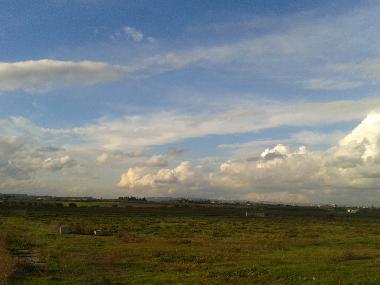 Relaxing view from balcony in very peaceful area in Marconia holiday apartment.