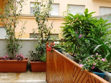 Holiday Apartment in Roma (Rome) or holiday homes and vacation rentals