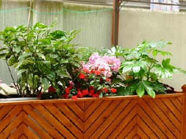 Holiday Apartment in Roma (Rome) or holiday homes and vacation rentals