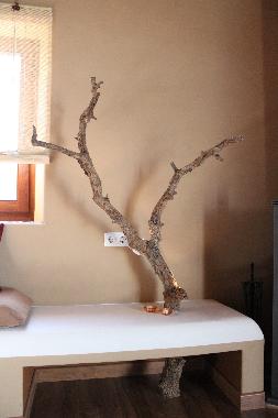 Holiday Apartment in Odeceixe (Algarve) or holiday homes and vacation rentals