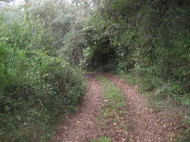 Holiday House in Paltsi (Magnisia) or holiday homes and vacation rentals