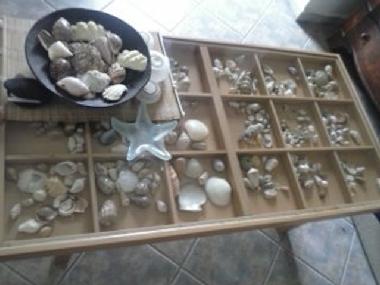 Bed and Breakfast in  ΝΕΑ STIRA EVOIAS (Evvoia) or holiday homes and vacation rentals