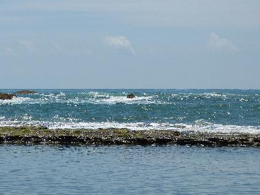 Bungalow nahe am sch�nes strand das Meer aus dem Barberyn Reef, Natursalzwasser -Pool abgedeckt. 