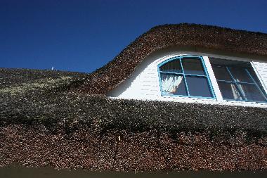 Holiday House in Poseritz (Ostsee-Inseln) or holiday homes and vacation rentals