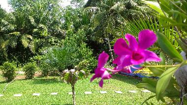 Ayurveda Resorts Mangrove Villa Sri lanka