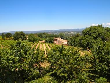 Holiday Apartment in Bonnieux (Vaucluse) or holiday homes and vacation rentals