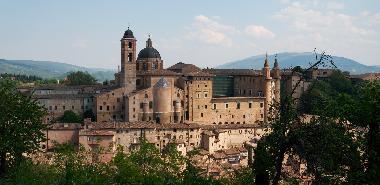 surrounding area: Urbino